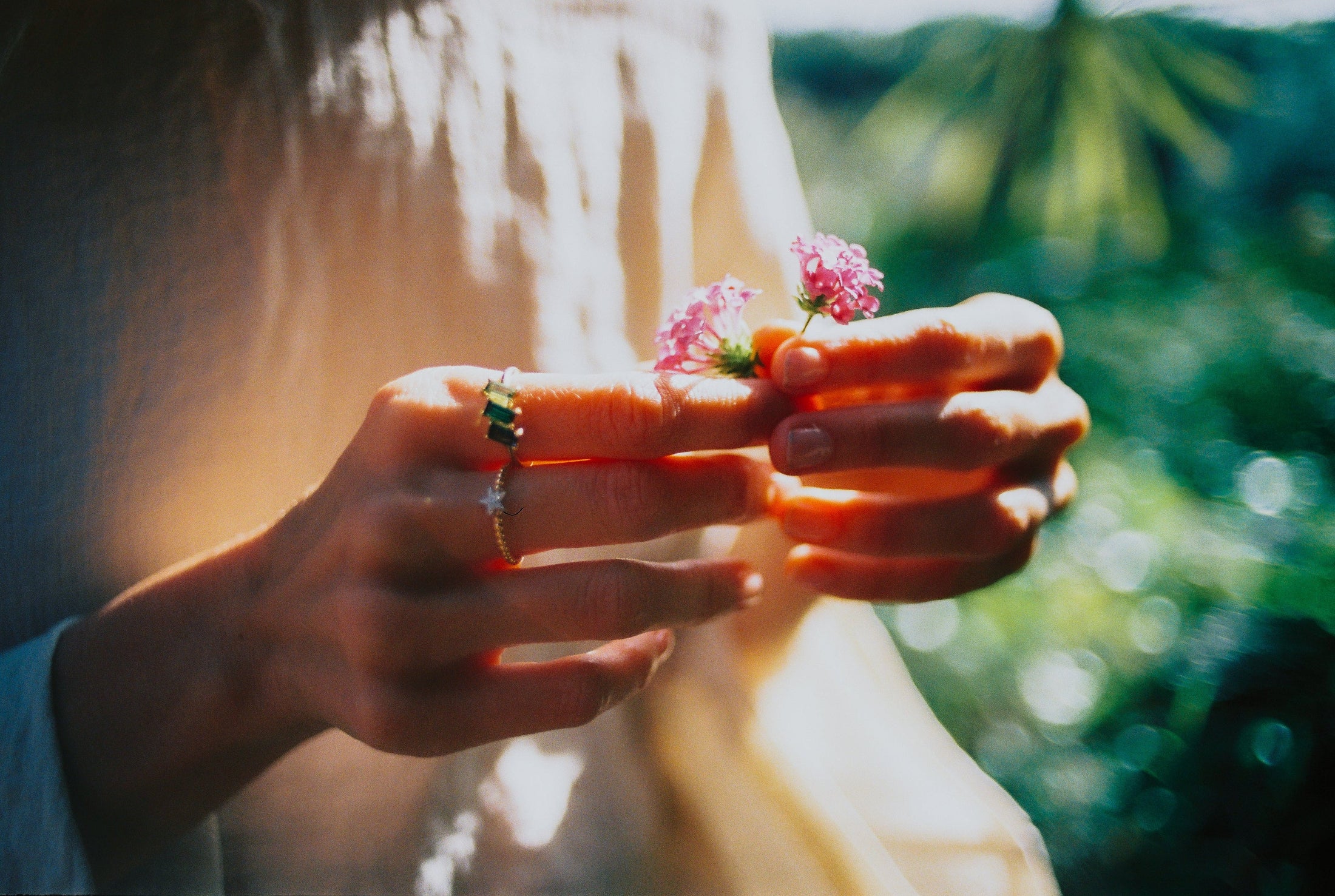 Anillos